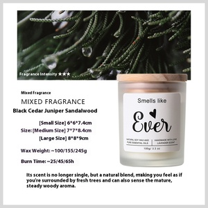 10Oz Biểu Tượng Tùy Chỉnh Thiết Kế Tối Giản Với Nắp Hộp Màu Sắc Sang Trọng Rỗng Trắng Mờ Cát Giáng Sinh Nến Lọ Thanh Lịch - Product Image 6