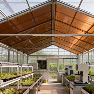 Lámina de <span class=keywords><strong>Policarbonato</strong></span> PC de 5mm, Resistente a la Intemperie y a los Rayos UV, Color Marrón Panal de Abeja, Panel Duradero para Cortar, para Pérgola de Jardín, Techo de Sombra para Exteriores - Product Image 4