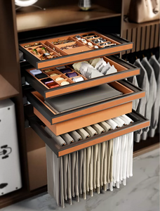 UZIA Aluminum Alloy Jewelry Organizer Tray <strong>Drawer</strong> Storage Box Wall Mount Detachable <strong>Wardrobe</strong> <strong>Insert</strong> Premium Closet Accessories - Product Image 2