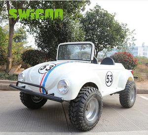 Mini Auto Super Power de 150cc, Tipo <span class=keywords><strong>Beetle</strong></span>, 4x4, Carrito de Golf a Gasolina, Mini Auto de 2 Plazas, Go Kart <span class=keywords><strong>en</strong></span> <span class=keywords><strong>Venta</strong></span> - Product Image 2