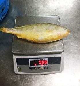 ขายส่งอาหารทะเลแช่แข็งสดคุณภาพสูง Croaker สีเหลือง - Product Image 4