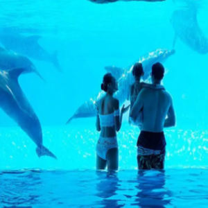 โปรเจคเตอร์ฉายภาพโฮโลแกรมเสมือนจริง 4K สำหรับพื้นโรงละคร สร้างภาพชายหาดเสมือนจริง พร้อมระบบฉายภาพ 3 มิติแบบไดนามิก ใช้หลอดไฟ LED พร้อมกระเป๋าอุปกรณ์เสริม - Product Image 2