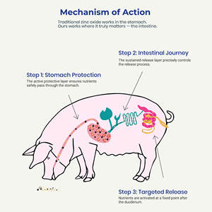 Aditivo para Alimentos FARMJEWEL con Óxido <span class=keywords><strong>de</strong></span> <span class=keywords><strong>Zinc</strong></span> (Minerales y Oligoelementos <span class=keywords><strong>de</strong></span> Grado Alimenticio) con Componentes Específicos para el Sitio - Product Image 3