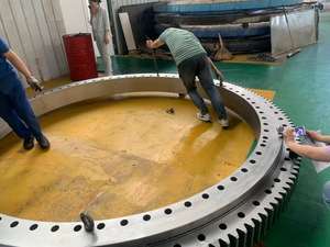 LYHGB экскаватор ex70-5/ex60 поворотный подшипник завод - Product Image 5