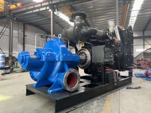 Pompe centrifuge horizontale à moteur diesel à haut débit, pompe à double aspiration pour l'irrigation agricole - Product Image 6