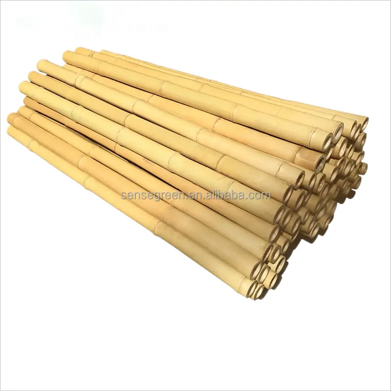 Large Treated Natural Moso Bamboo Pole for Construction Decoration