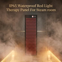 Panneau de sauna à lumière rouge pour le corps entier, 1060 nm, IP65, étanche, panneau de luminothérapie rouge, appareil infrarouge LED pour la récupération musculaire