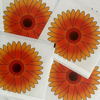 Piège à mouche en plastique de fleur de fenêtre de piège transparent écologique non toxique de colle de mouche