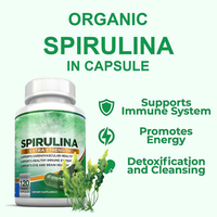 Capsules d'algues Spirulina - Prix de gros - Spirulina verte - 120 capsules - Produit minceur - Capsules de Spirulina 500mg