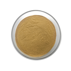 Fabrika kaynağı doğal nane yaprağı ekstresi nane özü nane özü - Product Image 2