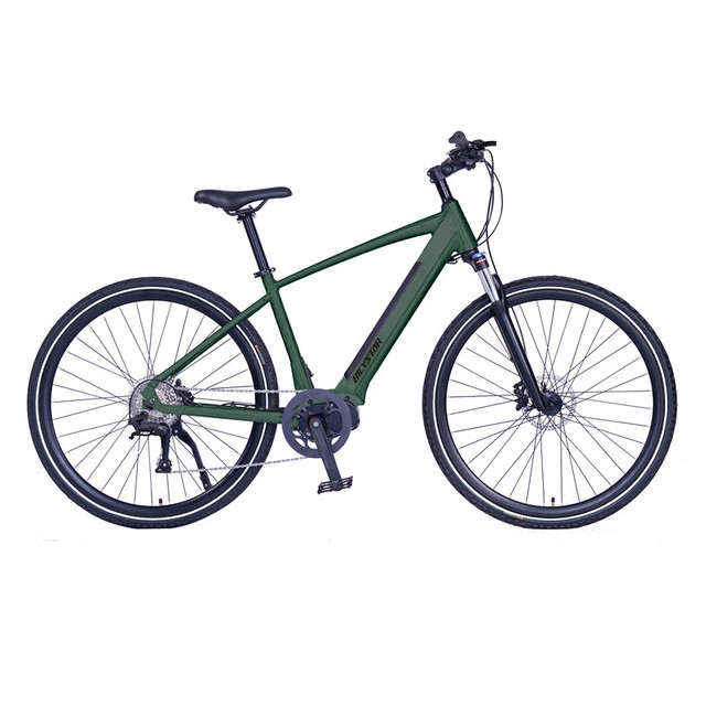 High Quality Electric Mountain Bike Hot Model E-bike Popular in Market Electric Cycle 36v Battery High Motor Model
