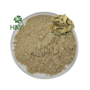 مستخلص أوراق المانجو عالي الجودة من هيلثواي، مسحوق مستخلص أوراق المانجو بدرجة غذائية - Product Image 4