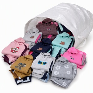 Conjunto de Sudadera y Pantalones para Niños de Otoño e Invierno, Estilos Variados para Niños y Niñas, Conjunto de 2 Piezas, Ropa Surtida al por Mayor - Product Image 3
