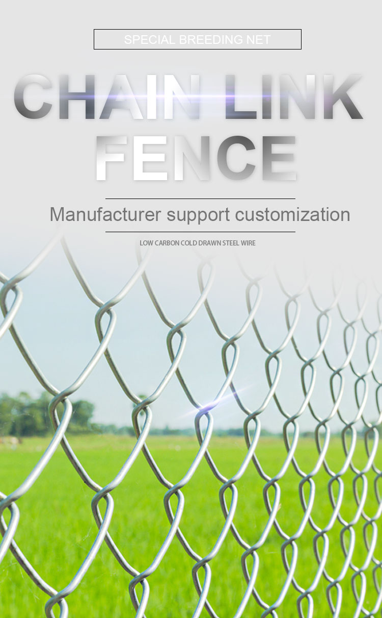 Factory Pvc Coated Chain Link Fence Building Walls Hot Dipped Galvanized  Diamond Fence Factory Enclosure Woven Cyclone Wire Mesh| Alibaba.com