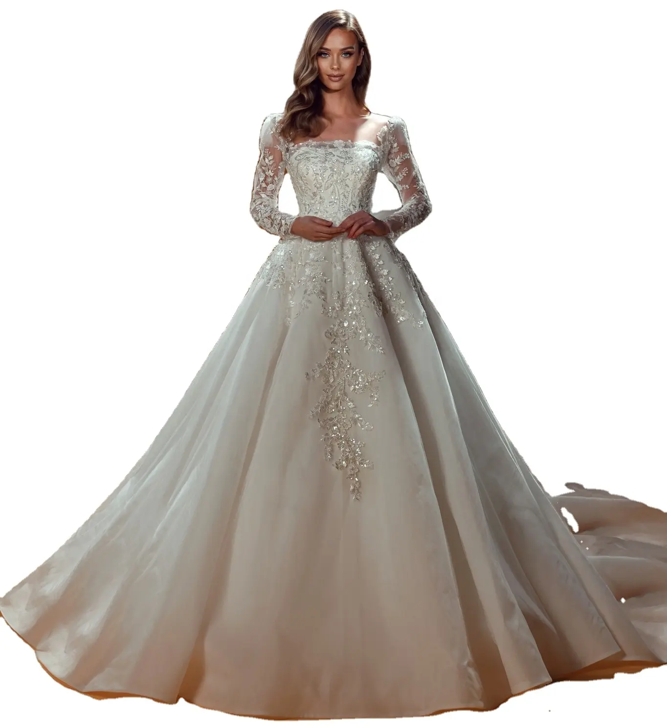 2024 Latest Dream Wedding Dresses Long Sleeve A Line Gown For Bride To Be Wear