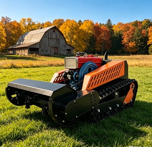 <span class=keywords><strong>Tondeuse</strong></span> à gazon sur chenilles télécommandée, monocylindre, diesel, refroidie par eau, sans fil, 1200 mm, robuste, tout-terrain, pour usage industriel - Product Image 1