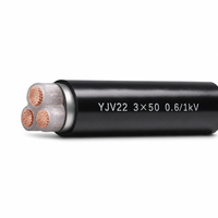 Câble d'alimentation blindé en cuivre à grande section YJV22 0,6/1 kV 3*50 mm², isolé XLPE pour courant élevé 3*50 mm²