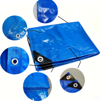 Bâche en PVC, bâche en PE, bâche en plastique, bâche en toile, bâche en HDPE, bâche enduite, bâche en vinyle