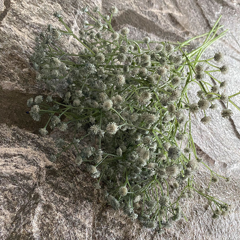 สีฟ้าหมอก