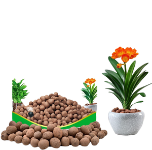 Argile de Galets de 10-14 mm, Boules d'Argile Céramique de Haute Qualité pour Plantes en Pot de Jardin, Non Toxiques, Bon Prix, Origine Chine - Product Image 1