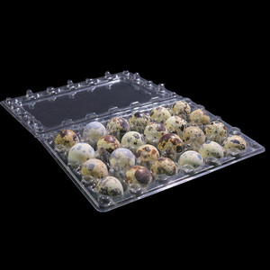 Plateau en plastique d'œufs de <span class=keywords><strong>caille</strong></span>, 10/12 oeufs, en carton, <span class=keywords><strong>jumbo</strong></span>, très large - Product Image 4