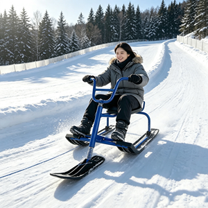 Traîneau <span class=keywords><strong>de</strong></span> <span class=keywords><strong>neige</strong></span> familial à suspension avant, poignée antidérapante, siège rembourré confortable, pour divertissement en hiver en station <span class=keywords><strong>de</strong></span> ski - Product Image 1