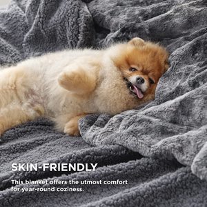 Dark <strong>Grey</strong> Plush Super Soft Lamb Wool Warm and Comfortable Faux Fur <strong>Cover</strong> for <strong>Sofas</strong> and Beds - Product Image 3