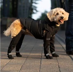 Stivaletti Invernali Moderni con Bretelle per Cani e Gatti, Imbracatura Antiscivolo per Animali Domestici con Scarpe da Trekking Impermeabili in Gomma Solida - Product Image 5