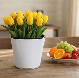Decorative Desktop <b>Plastic</b> Self-Watering Flower <b>Planter</b> <b>Pots</b> for Succulents Herbs Orchids with Visual Water Indicator - Product Image 2