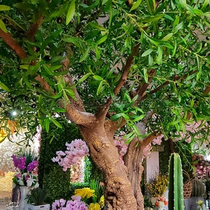 <span class=keywords><strong>Olivo</strong></span> artificial de aspecto realista Anti UV, árbol falso grande, tamaño personalizado, textura realista simulada para <span class=keywords><strong>restaurante</strong></span> y Hotel - Product Image 4