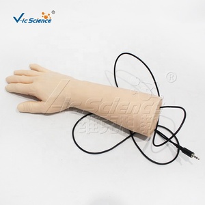 Modelo Avanzado de Venopunción Electrónica, Maniquí Inteligente para Práctica de Punción IV para Enfermeras - Product Image 5