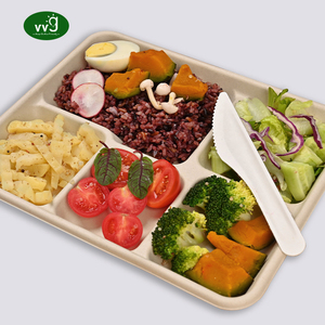أطباق أواني الطعام VVG bagasse صديقة للبيئة بيولوجي قابل للتحلل قصب السكر 5 مقصورة طبق للاستعمال مرة واحدة - Product Image 4
