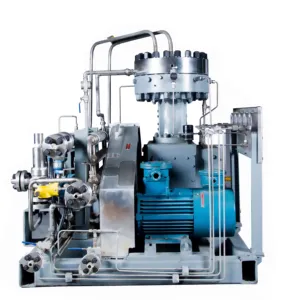 Low Noise High Pressure Oil-Free Oxygen Compressor for O2 Gas Filling Cylinder