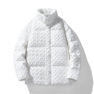 Logotipo personalizado 2025 invierno tendencia de la calle de los hombres ocio tejido plumón de pato blanco cuello de moda juvenil chaqueta de plumón sencilla calentamiento - Product Image 1