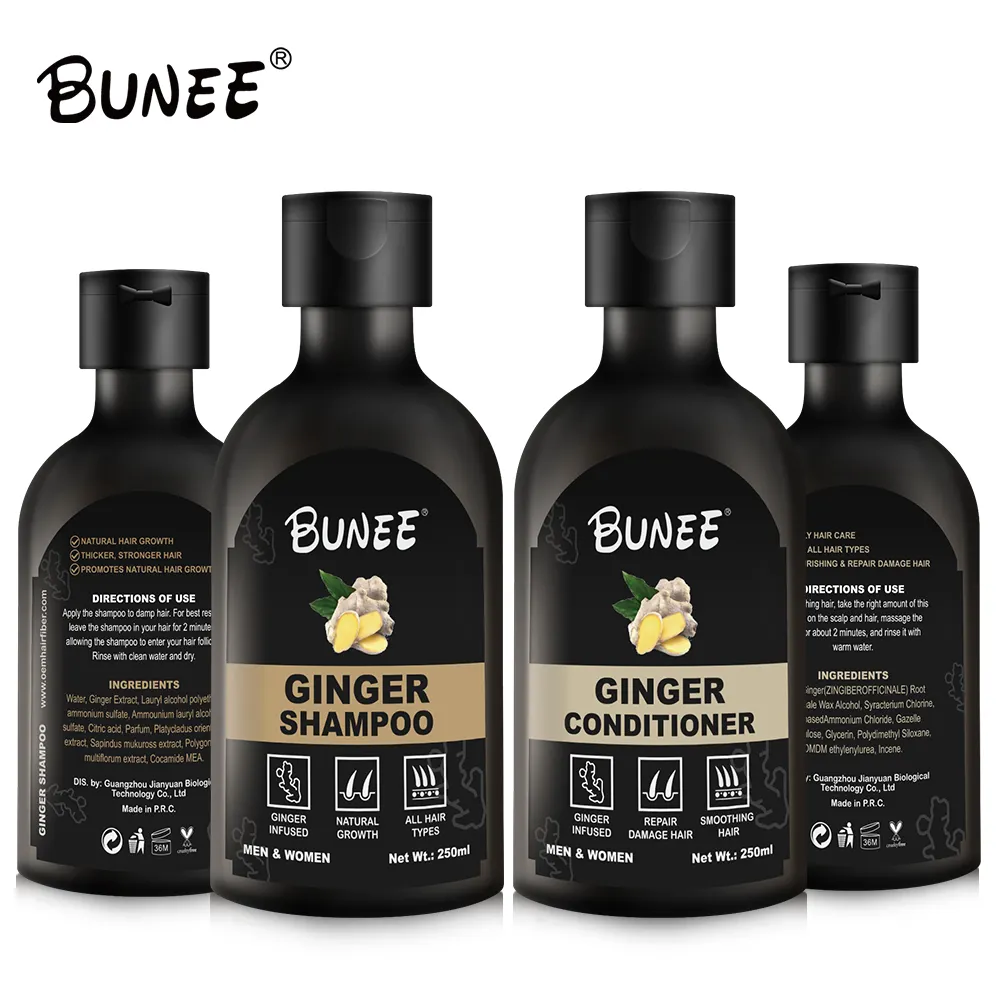 Großhandel natürliche Bio-Ingwer und Koffein Shampoo Haarausfall Das Shampoo für fettiges Haar Männer und Frauen