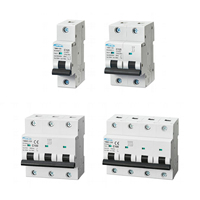 Disjoncteur miniature 1P 80~100A TMM1-125
