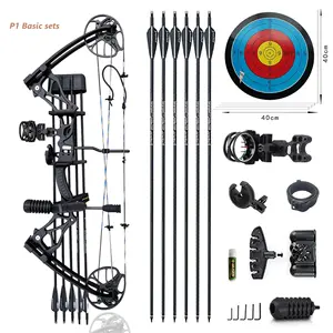Factory direct PANDARUS Archery 0-70lbs Adults Aluminum Compound bow and arrow sets for outdoor hunting shooting