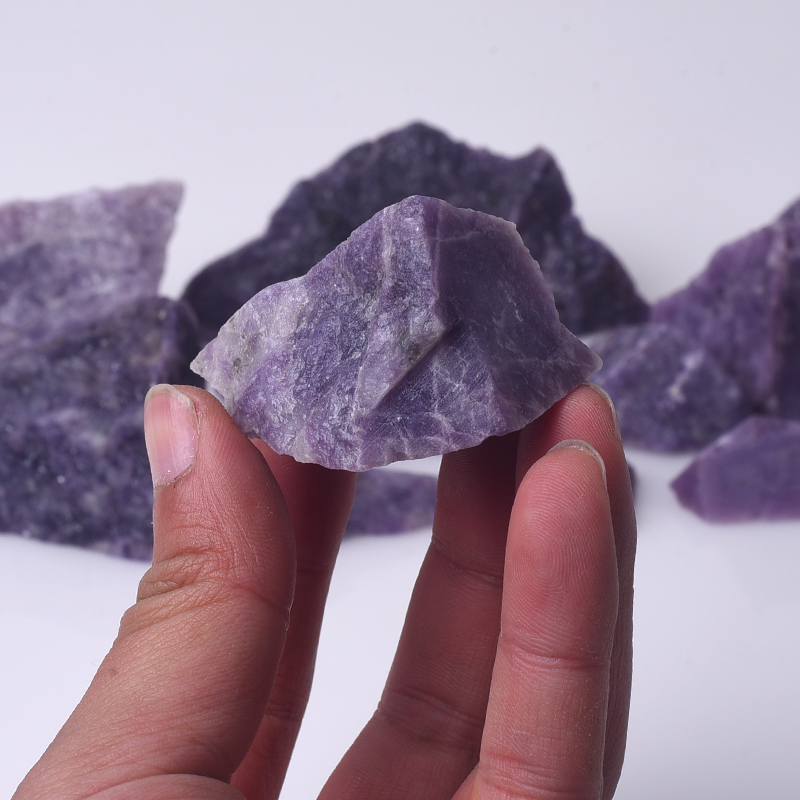 Viola mica