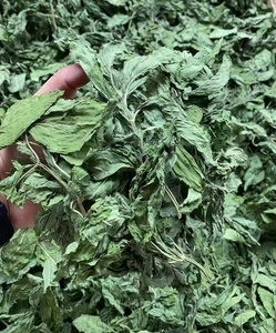 Bulk Organic <strong>Peppermint</strong> Spearmint Leaves Natural Herbal Loose Leaf <strong>Tea</strong> Wholesale Supplier From Yulin,Guangxi - Product Image 4