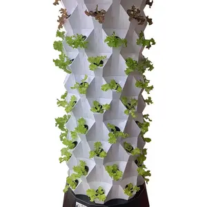 Hydroponic vertical planting system Greenhouse growing full kit with pump and growing sponge pineapple tower