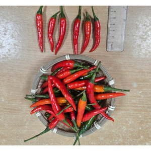 พริกไทยแดงสดแช่แข็งแบบเวียดนามเครื่องเทศสมุนไพรเดี่ยวแบบทนทาน - Product Image 1