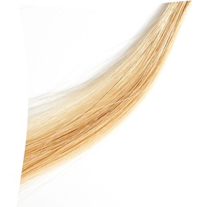 Extensions de cheveux pré-collées en kératine plate Sens Flat Keratin European, couleur 22-9 blond extra clair à blond clair, 25 mèches, 100% cheveux Remy - Product Image 3