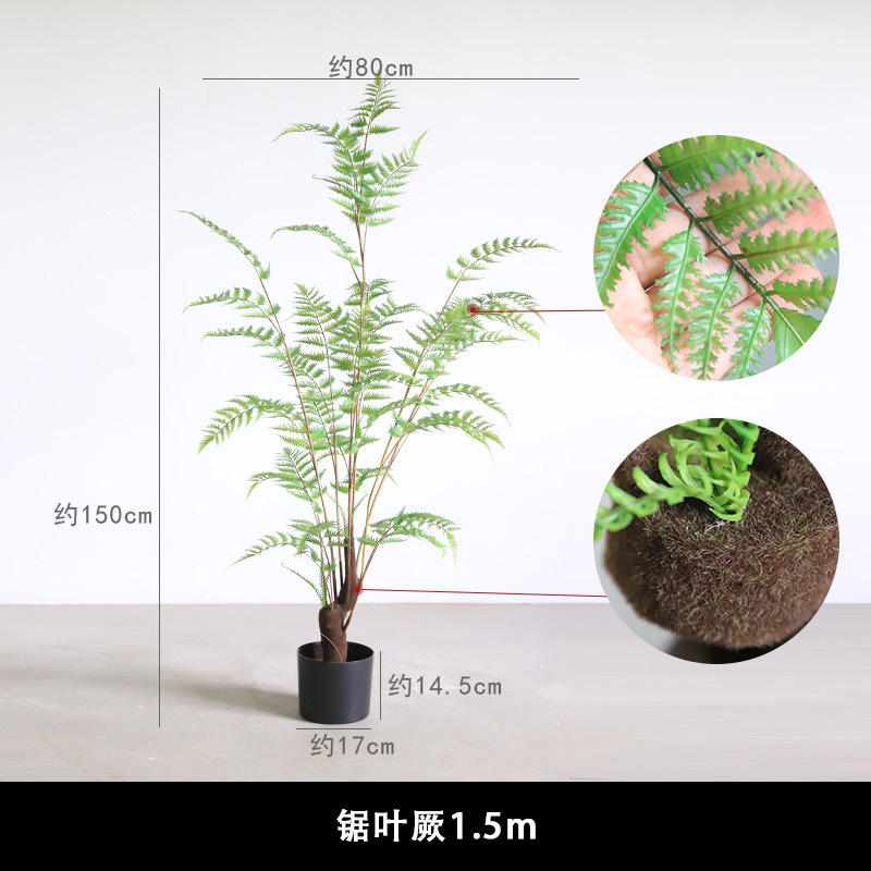 Moss root + flexible rod pro giant fern 15m