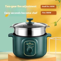 Yolecen fabricant marmite électrique en acier inoxydable pour la cuisson de nouilles bouillie petits appareils ménagers pour bouillon de soupe