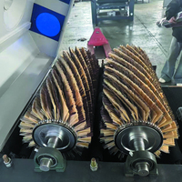 Machine à poncer à double rouleau WS630-2S, machine de polissage de surface en bois de haute précision pour panneaux de portes d'armoires