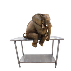 VICTORY KITCHEN-Table de travail en acier inoxydable avec dosseret fabriquée en Chine pour l'hôtellerie-Équipement pour la restauration et la boulangerie - Product Image 2