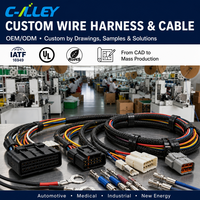 Rangkaian Kabel Harness Kustom OEM untuk Otomotif, Medis, Industri, dan Elektronik Konsumen