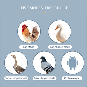 Incubateur à œufs en <span class=keywords><strong>vente</strong></span> chaude, incubateur entièrement automatique, machine à éclosion <span class=keywords><strong>de</strong></span> 98 œufs avec double alimentation - Product Image 6