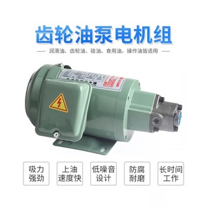 Pompe à engrenages 380V 12A 1 étage, pompe hydraulique taïwanaise pour lubrification de machines-outils et utilisation sur machines à vis - Product Image 2