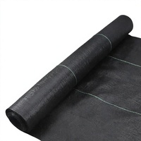 Toile paysagère robuste de 1,2 m pour le contrôle des adventices – Tapis anti-mauvaises herbes